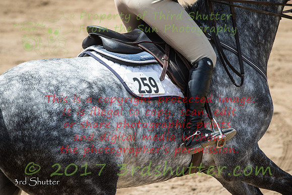 BV2A2256
