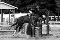 BV2A2483-3
