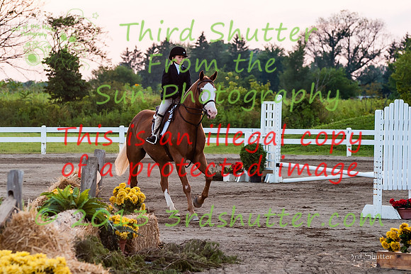 130817_WalkTrotClassic_0437