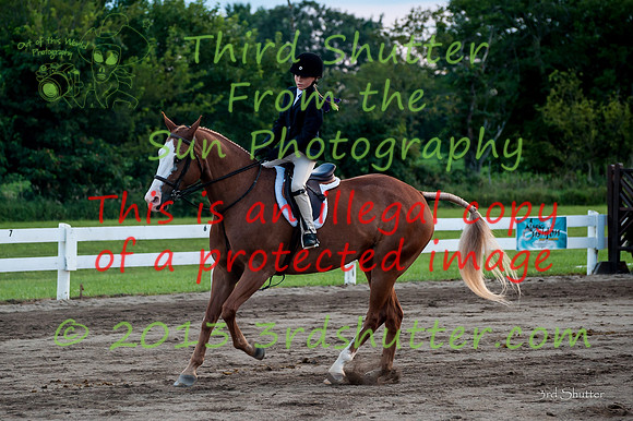 130817_WalkTrotClassic_0447