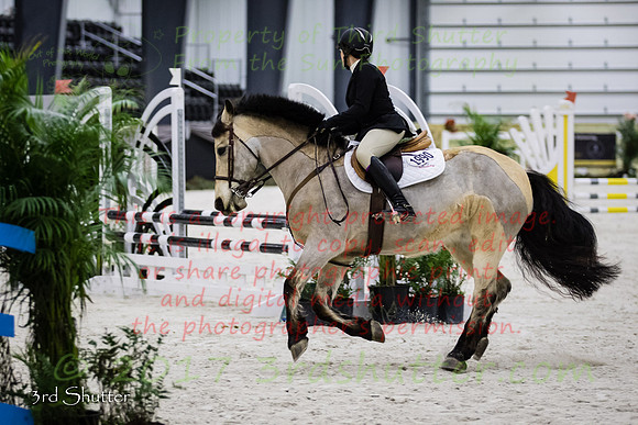 BV2A2481