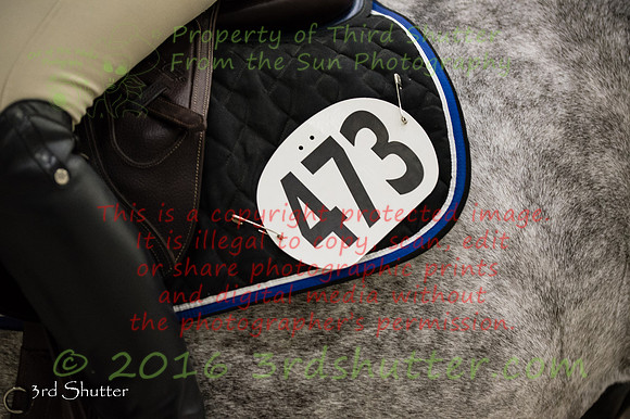 SF1_6095