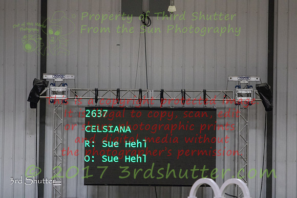 0E5A6687