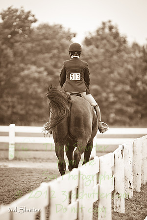 BN1C9594