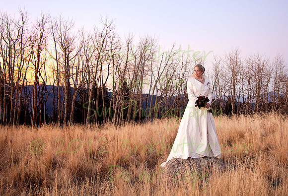 _MG_3756-Edit