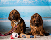 Shamus and Max