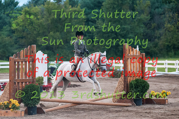 130817_WalkTrotClassic_0571