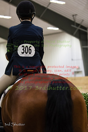 _1SF2689