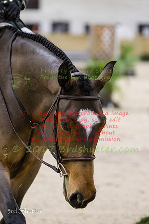 0M3A7534
