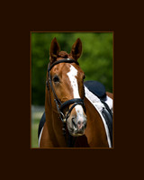 _B2D4770-Edit-Edit
