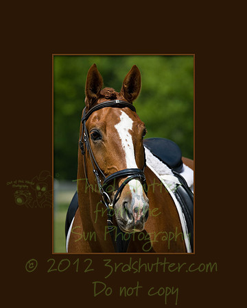 _B2D4770-Edit-Edit