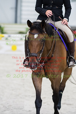SF3_1206