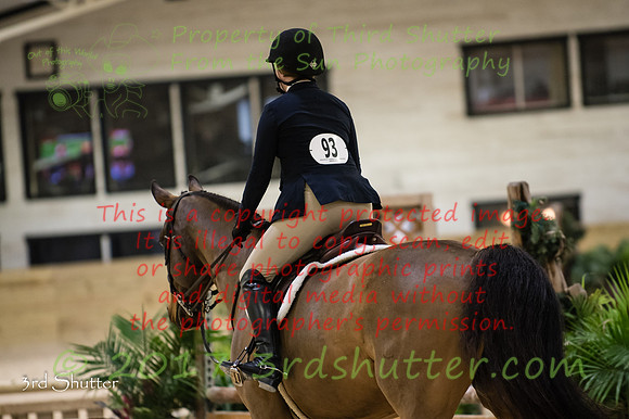 _1SF1497