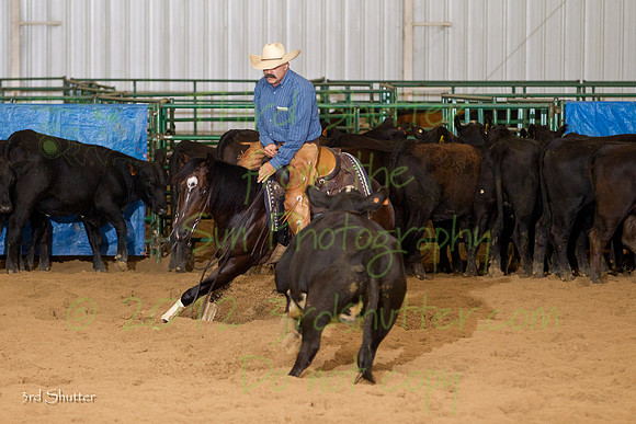 BN1C9494