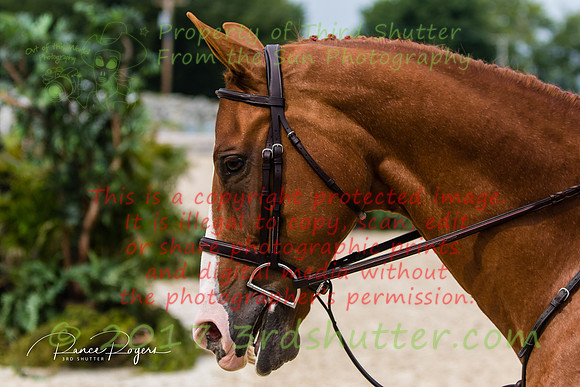 0M3A0983