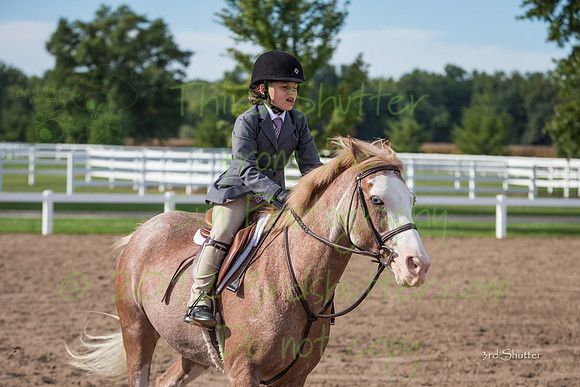 F43Q5231