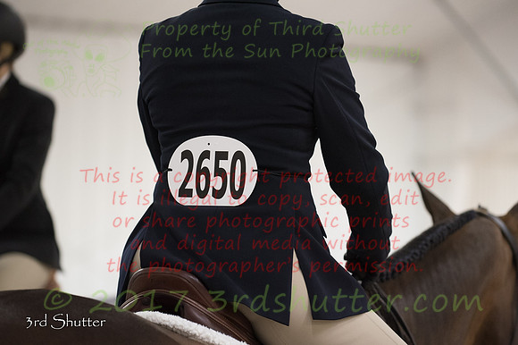 _1SF1655