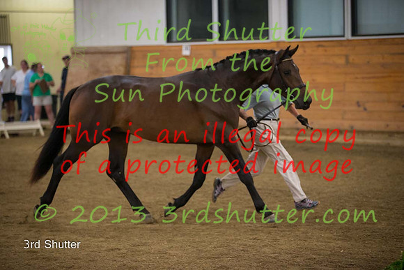 F43Q4611