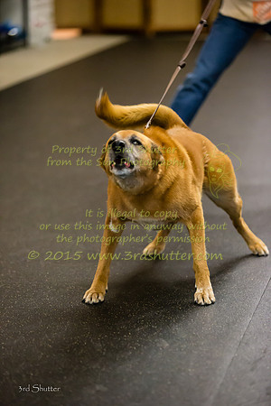 F43Q8471