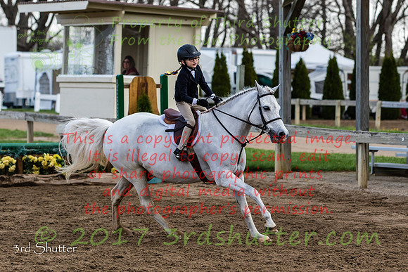 BV2A6570