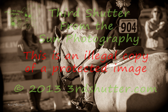 F43Q6993