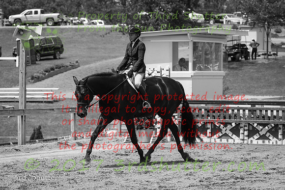 BV2A2951-2