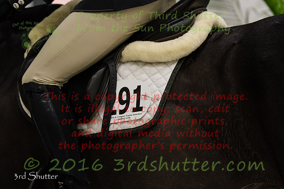 _SF10913