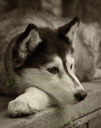 _N1C0089-Edit