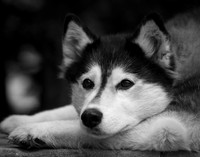 IMG_9951