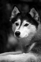 IMG_9958