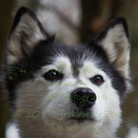 _N1C0074