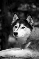 IMG_9935-2