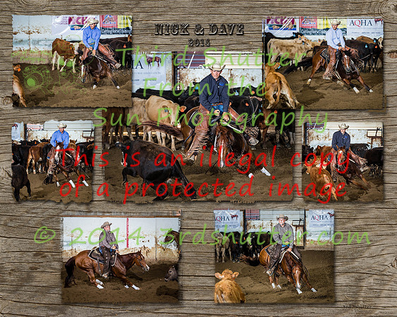 Pilcher Collage 2