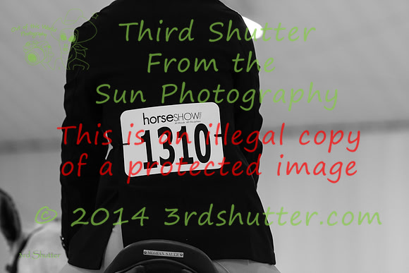 IMG_6949