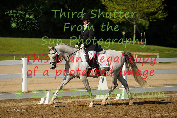 BN1C6309