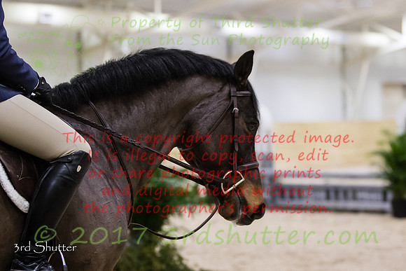 0M3A6554