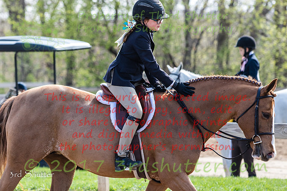 BV2A6743