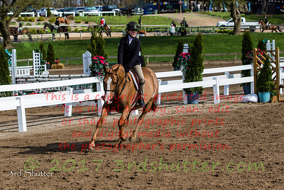 BV2A6711
