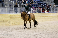 BV2A1645