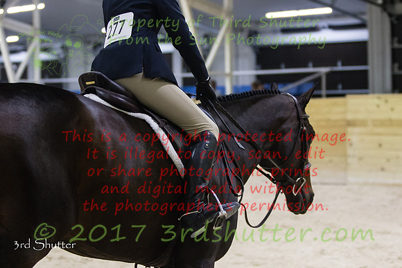0M3A2198-2