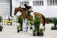 BV2A8411