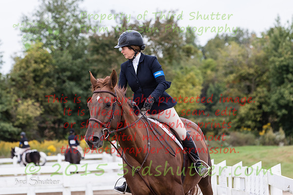 BV2A6178