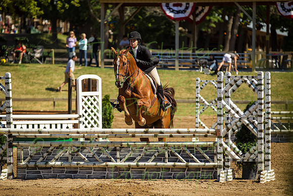 BN1C0351