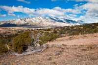 _MG_2358