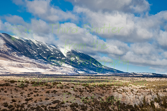 _MG_2374
