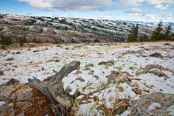_MG_2469