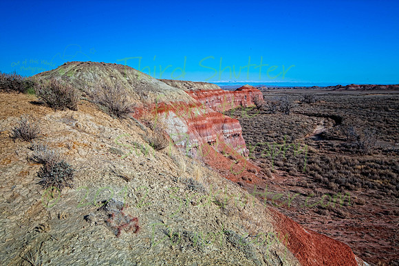 _MG_2897-Edit
