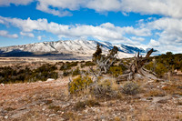 _MG_2359