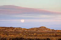 _MG_2921-Edit