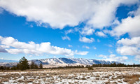_MG_2443